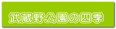 武蔵野公園の四季